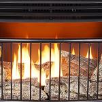 ProCom 25,000 BTU Dual Fuel Fireplace, Black