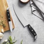 HENCKELS Razor-Sharp 2-Pc Chef Knife Set