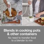 Proctor Silex Detachable Immersion Blender, 2 Speeds
