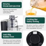 Centrifugal Juicer with Wide Feed Chute and Dual Speeds