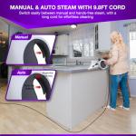 Gearwiz Handheld Steam Cleaner with 9 Accessories