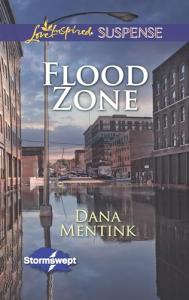 Stormswept Series Book 3: Flood Zone
