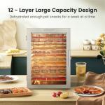 12-Tray Food Dehydrator with Timer and Temp Control