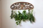 Rustic Herb Drying Rack - Artistic Tree Design