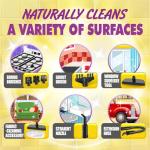 Handheld 1200W Steam Cleaner with 10 Tools
