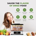 Rosewill Compact Food Dehydrator with 5 Trays