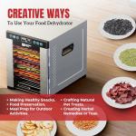 Magic Mill Pro Food Dehydrator with 10 Trays