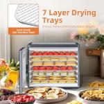 Stainless Steel Food Dehydrator for Jerky & More