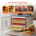 Stainless Steel Food Dehydrator for Jerky & More