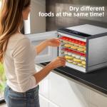Stainless Steel Food Dehydrator for Jerky & More