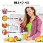 5-in-1 Immersion Blender with Accessories