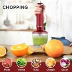5-in-1 Immersion Blender with Accessories