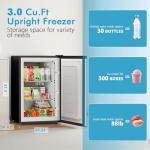 COWSAR Compact 3.0 Cu.Ft Upright Freezer