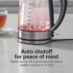 Hamilton Beach 1.7L Electric Kettle with Auto Shutoff