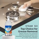 Steam and Go Multi-Purpose Cleaner Spray, 32 oz