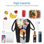 Insulated Lunch Bag Tote for Work and Travel