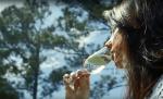 Complete Mead Making Kit for Homebrewing