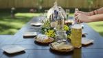 Complete Mead Making Kit for Homebrewing