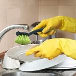 Pine-Sol Long Handle Scrub Brush Set, 5 Pieces