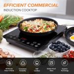 Nuwave Portable Induction Cooktop with 94 Temp Settings