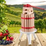 VEVOR Heavy Duty Fruit Wine Press - 6L
