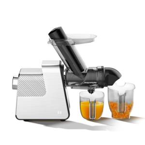 Anybear Slow Juicer with Large Feed Chute