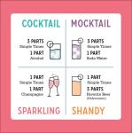 Classic Cocktail Mixer 4-Pack - Just Add Alcohol