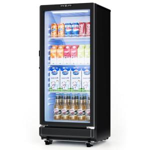 ICEVIVAL 6 Cu.Ft Commercial Display Refrigerator with Glass Doors