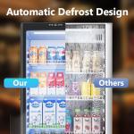 ICEVIVAL 6 Cu.Ft Commercial Display Refrigerator with Glass Doors