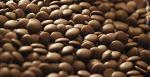 Belgian Milk Chocolate Baking Chips 5.5 lbs
