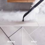 Dupray Neat Plus Steam Cleaner and Accessory Kit