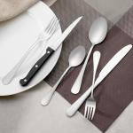 Set of 8 Sharp Steak Knives with Ergonomic Handles