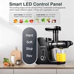 AMZCHEF Cold Press Juicer with 2 Speed Modes