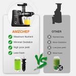 AMZCHEF Cold Press Juicer with 2 Speed Modes