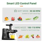 AMZCHEF Cold Press Juicer with 2 Speed Modes