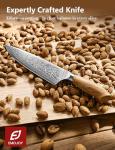 Damascus Chef Knife with Olive Wood Handle