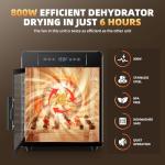 Septree 800W Digital Food Dehydrator with 10 Trays