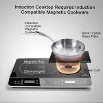 Duxtop 1800W Double Induction Cooktop Burner