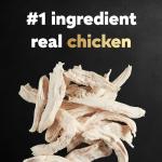 Cesar Small Breed Dry Dog Food, Chicken & Veggies