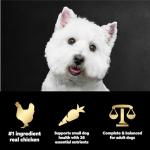 Cesar Small Breed Dry Dog Food, Chicken & Veggies