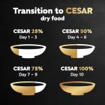 Cesar Small Breed Dry Dog Food, Chicken & Veggies