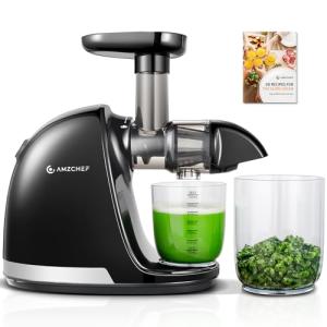 AMZCHEF Cold Press Slow Juicer with Reverse Function