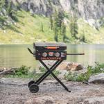 Blackstone 22” Portable Gas Griddle with Hood