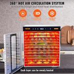 VEVOR 10-Tray Stainless Steel Food Dehydrator