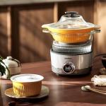 Joydeem Electric Glass Steam Cooker and Tagine Pot
