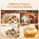 Joydeem Electric Glass Steam Cooker and Tagine Pot