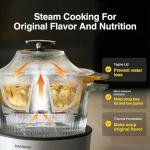 Joydeem Electric Glass Steam Cooker and Tagine Pot