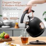Rasonic Retro Electric Kettle - 1.8L Stainless Steel