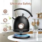 Rasonic Retro Electric Kettle - 1.8L Stainless Steel