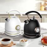 Rasonic Retro Electric Kettle - 1.8L Stainless Steel